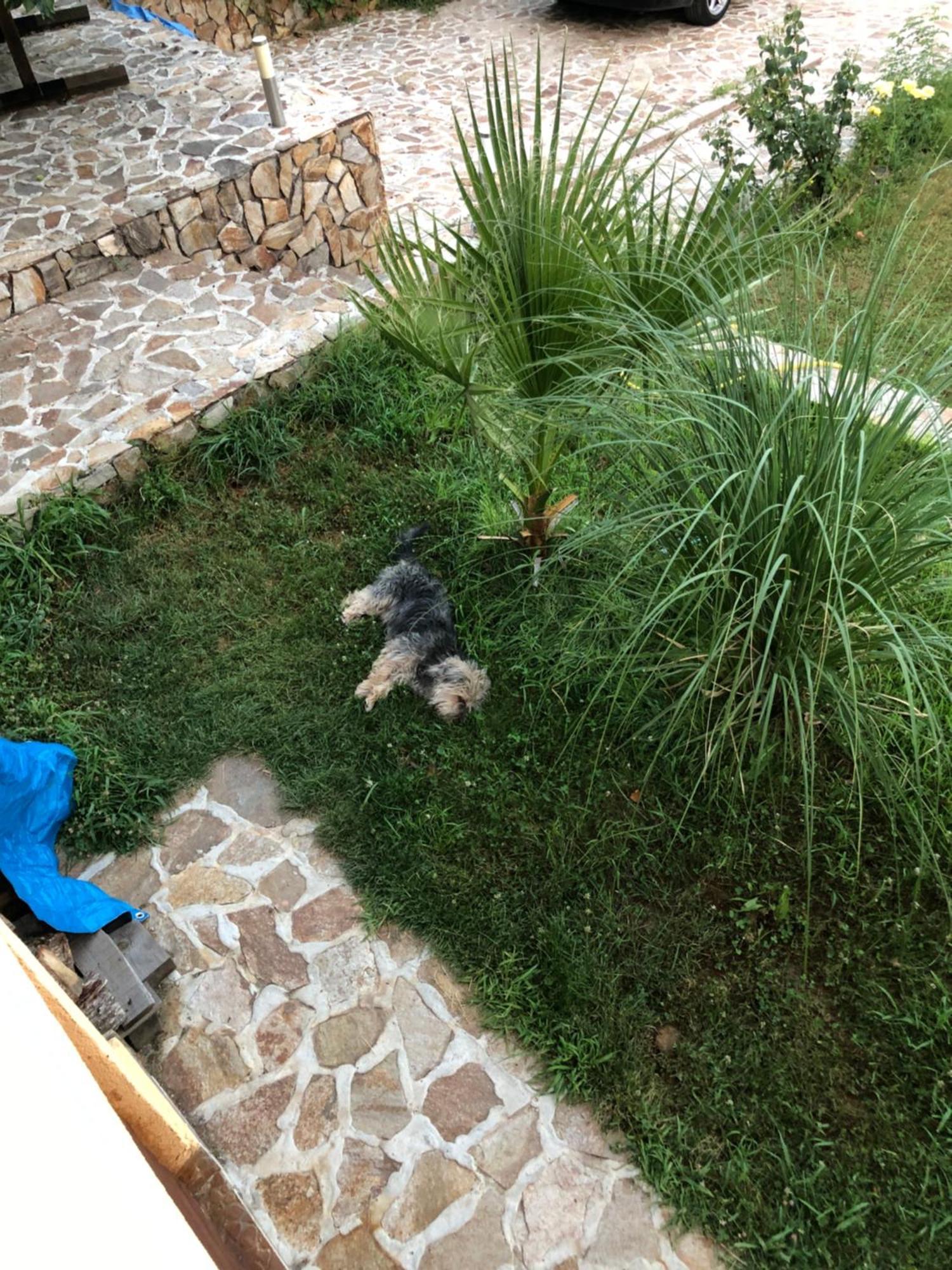 Sunshine Villa Dzhigurovo Sandanski Buitenkant foto