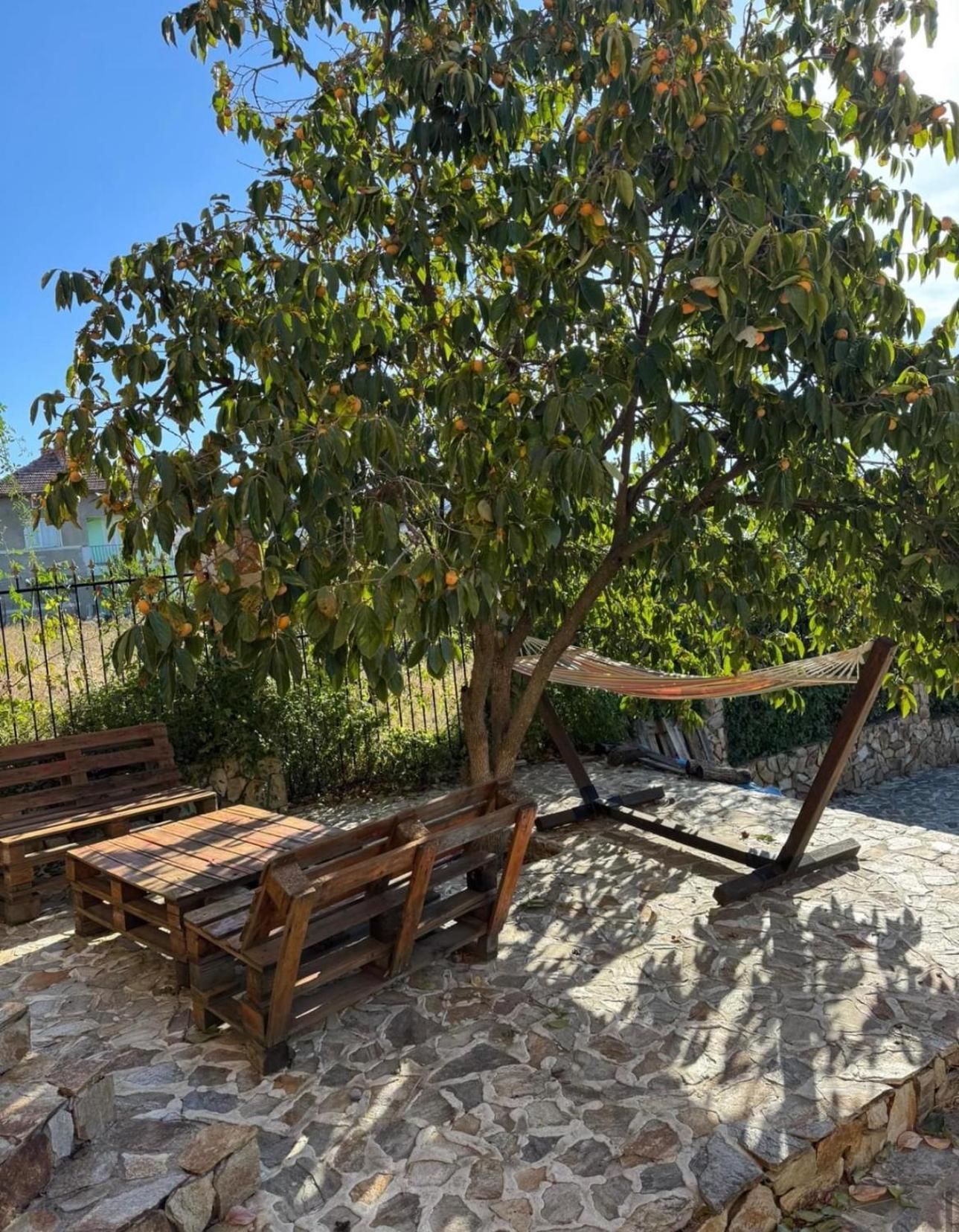Sunshine Villa Dzhigurovo Sandanski Buitenkant foto